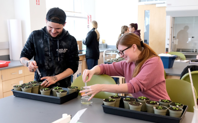 Students working with plants in lab.